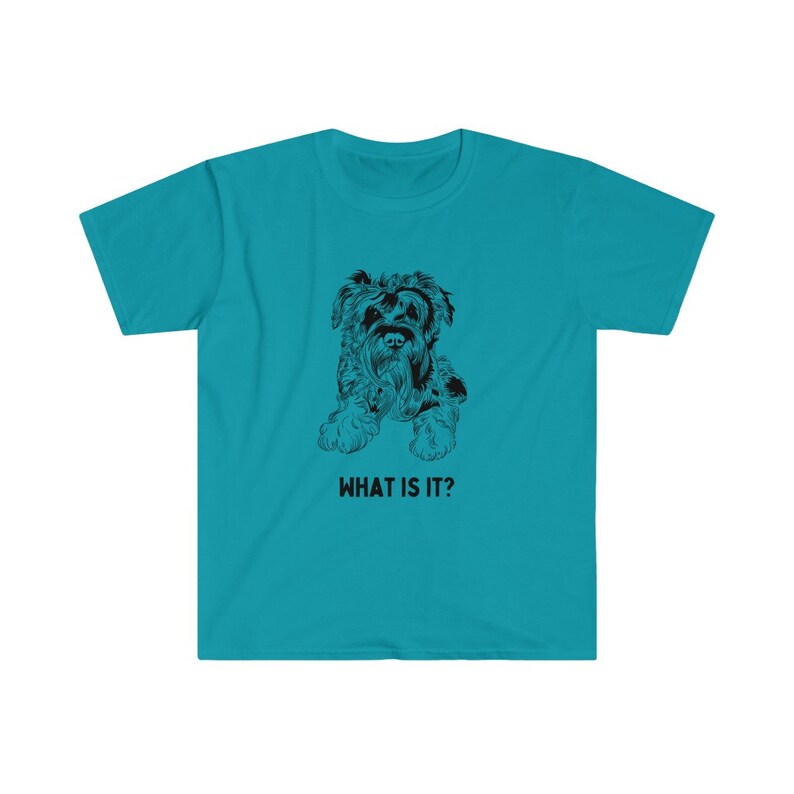 May include: A turquoise blue t-shirt with a black and white illustration of a dog. The text "WHAT IS IT?" is printed below the image.