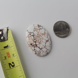 Vildhäst Jasper Cabochon bild 3