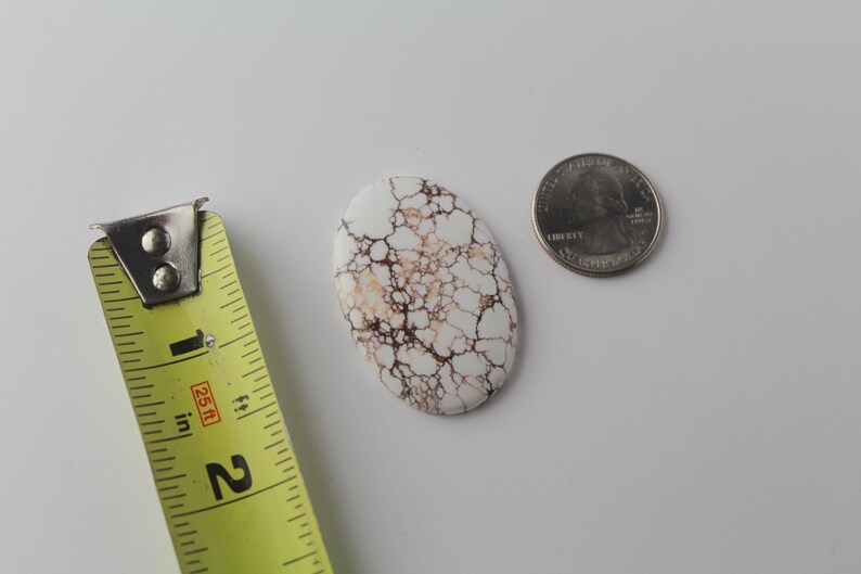 Vildhäst Jasper Cabochon bild 3