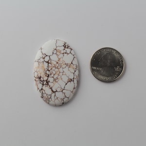 Vildhäst Jasper Cabochon bild 1