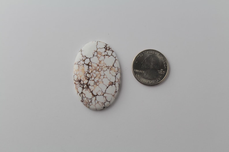 Vildhäst Jasper Cabochon bild 1