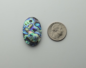Abalone Paua snäckskal cabochon för smyckestillverkning - Kollektionsrensning
