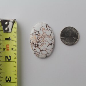 Vildhäst Jasper Cabochon bild 2