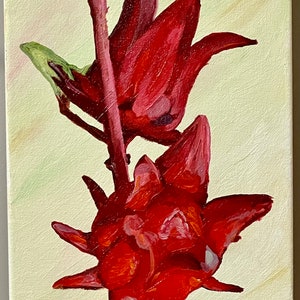 Original Jamaican Artwork- Sorrel