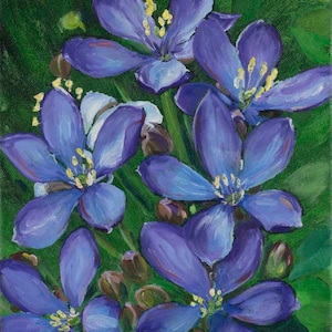 Original Jamaican Artwork - Lignum Vitae Flower