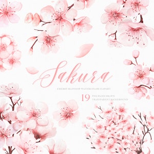 Watercolor Cherry Blossoms Clipart, Sakura Clipart, Floral branches, Floral Pink Wreaths, Bouquets, watercolor flower Png clipart