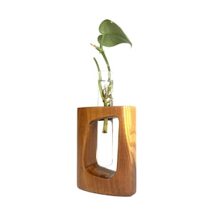 Teak Reagenzglas-Vase mit abgerundetem Rahmen - Handgefertigter Holzpflanzer, Hydroponik- & Vermehrungsstation, dekoratives Dekor im nordischen Stil, Geschenk für Pflanzenliebhaber