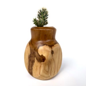 Kaktustopf - Umweltfreundlicher handgefertigter Holzpflanzer für Kakteen & Sukkulenten, stilvolles Geschenk für Housewarming oder Freunde des grünen Daumens