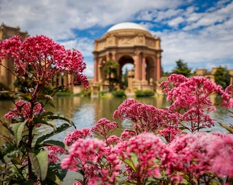 Flowers at the Palace of Fine Arts (San Francisco)