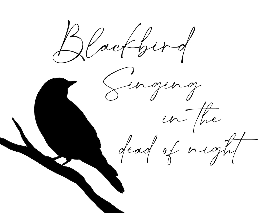 Blackbird Singing in the Dead of Night| Blackbird SVG| Lyrics SVG| PNG