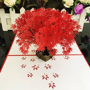 Biglietto d'auguri pop-up per albero di acero rosso, biglietto adorabile, carta regalo per albero di acero