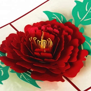 Belle carte pop-up 3D faite main pivoine