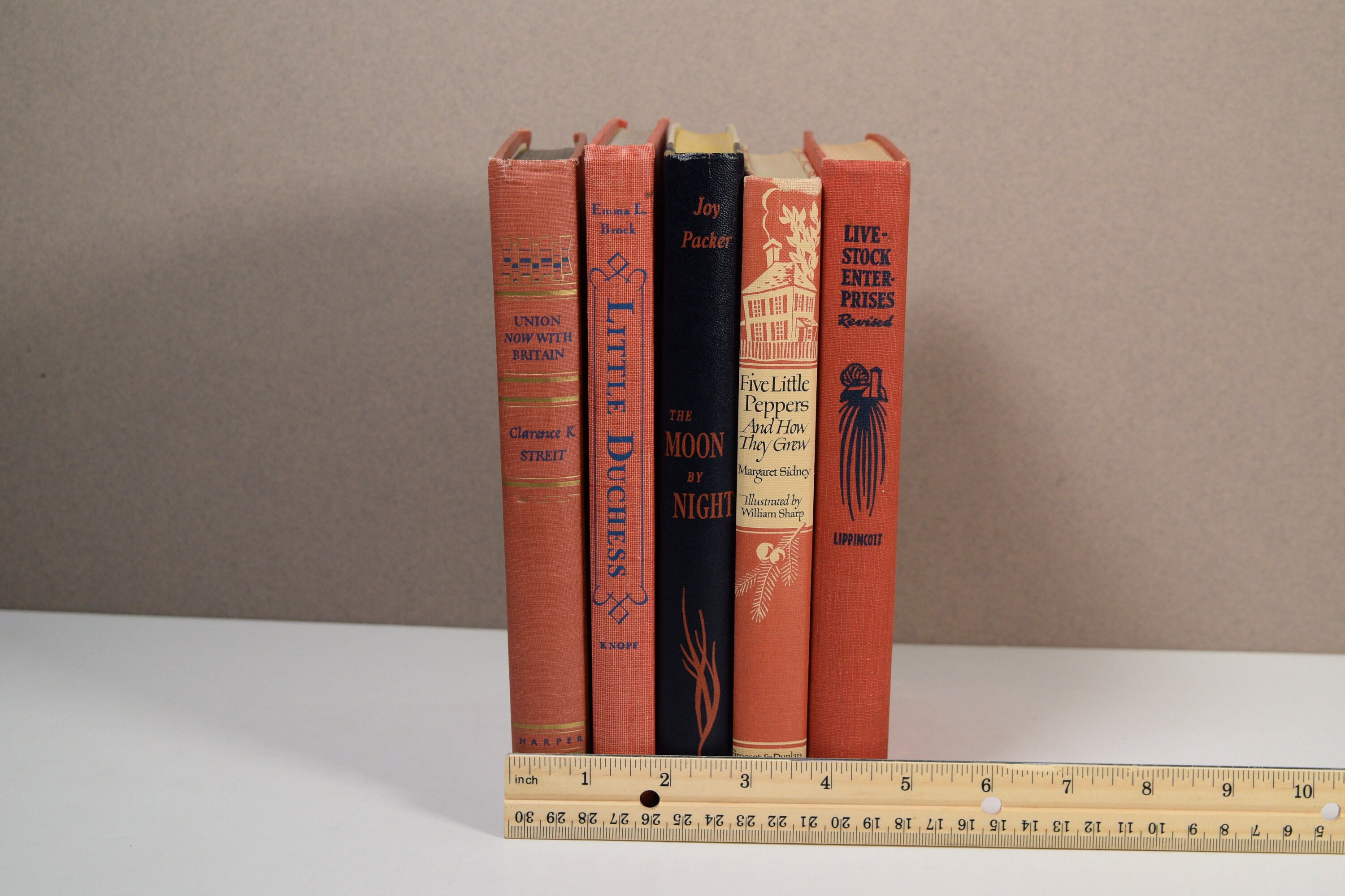 Vintage Decorative Books Bundle Set of 5 Shelf/Home Décor Etsy