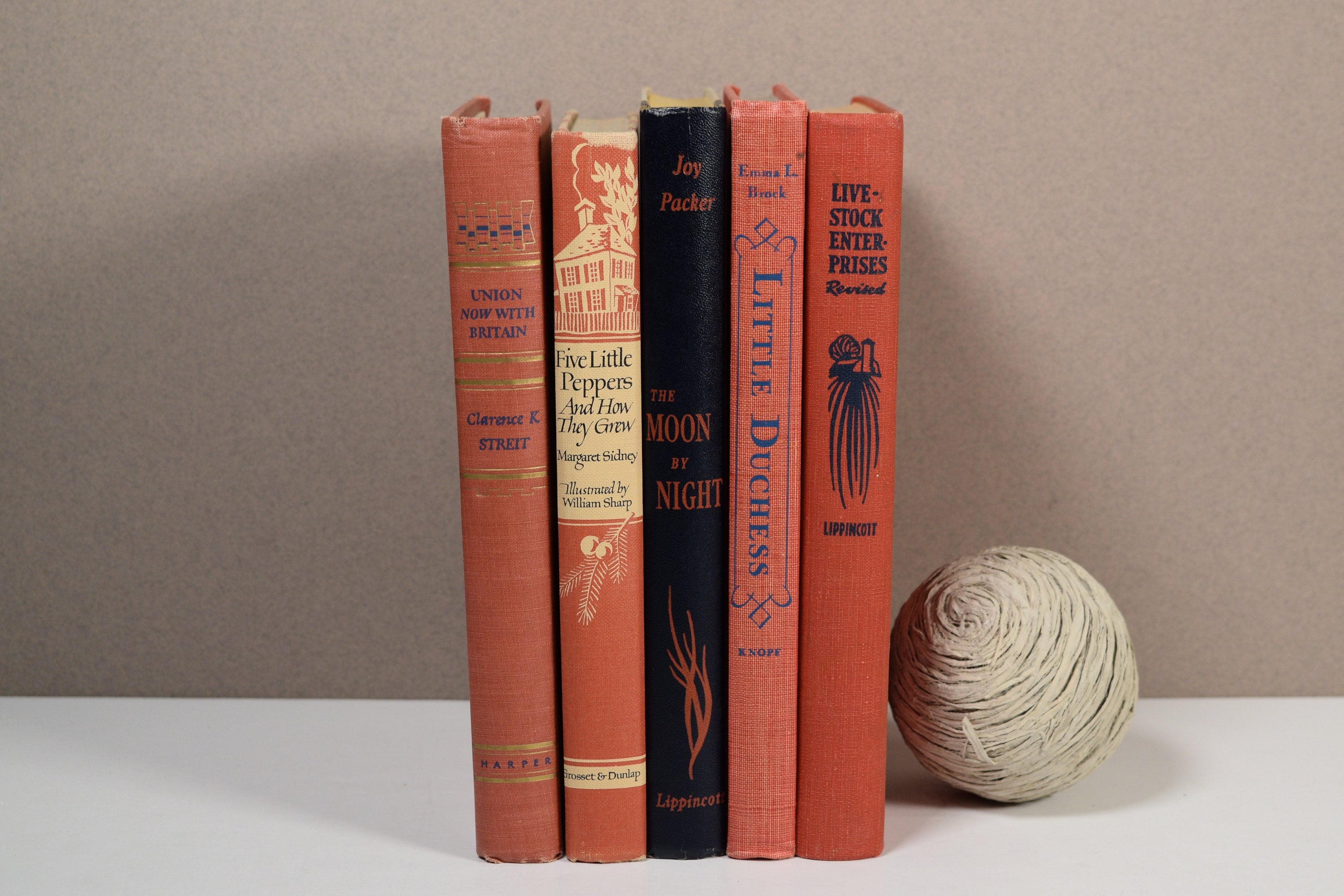 Vintage Decorative Books Bundle Set of 5 Shelf/Home Décor Etsy