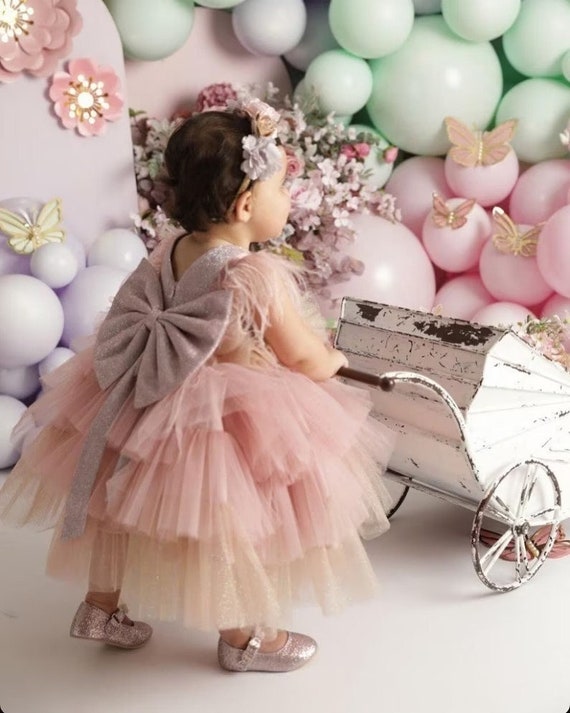 Baby Girl 1st Year Birthday Dress Lace Princess Flower Autumn Dresses –  Honeychildren