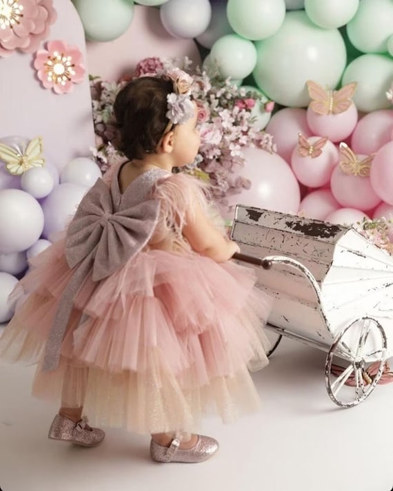 Baby Girl 1st Year Birthday Dress Lace Princess Flower Autumn Dresses –  Honeychildren