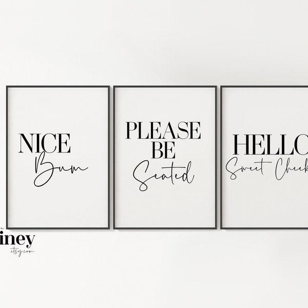 Set of 3 Bathroom Prints, Toilet Bathroom Prints, Bathroom Home Decor, Toilet Print, Bathroom Accessories, Black & White Print, Bathroom Art