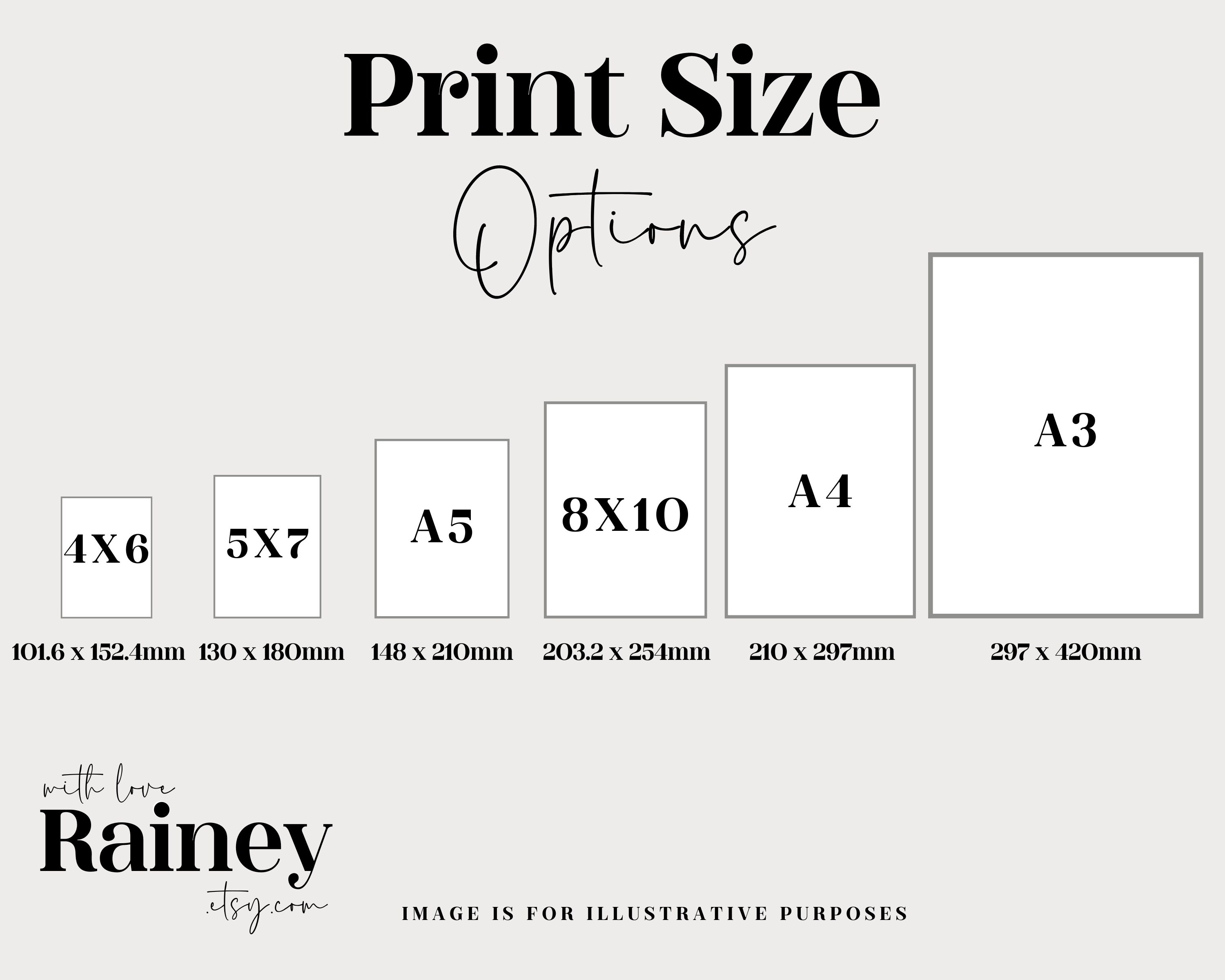 Seasonal Definition Prints Set of 4 Spring Summer Autumn Etsy UK