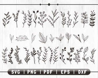 Download Laurel Leaf Svg Etsy