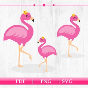 studio3 Silhouette Cameo jpg Vector png Monogram Frame Cricut Design Space Flamingo Monogram svg eps dxf clipart Brother Scan Cut