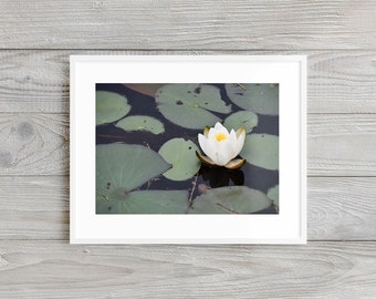 Secret Water Lily - Impresión de fotografía de paisaje. Calidad del museo en papel grueso, de archivo y mate. Naturaleza • Estanque • Verde • Flor • Blanco