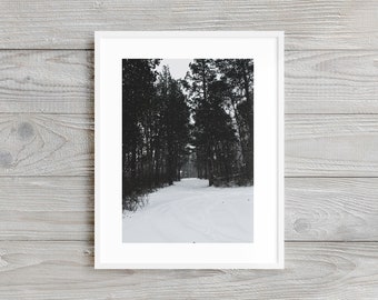 It's a Winter Wonderland - Landscape Photography Print. Museum-quality on thick, archival, matte paper. Forest • Winter • Snow • Rustic