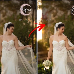 May include: A bride in a white lace wedding dress with a long veil, holding a bouquet of white flowers. The image shows the difference in the lighting and color of the image before and after editing.