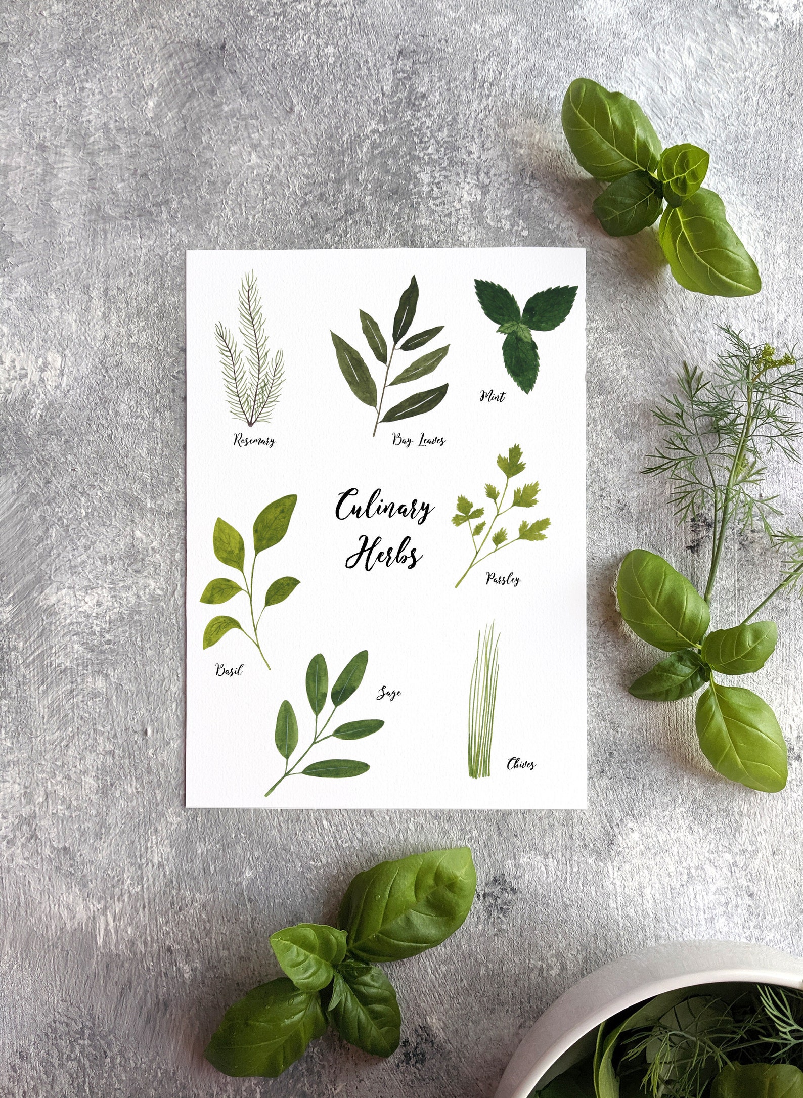 Aquarell kulinarische Kräuter Küche WandDekor Oregano Basil Etsy