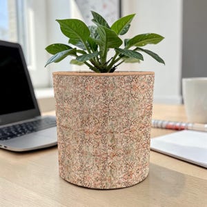 May include: A cylindrical plant pot with a detailed, patterned exterior in shades of beige, brown, and green. The pot contains a small green plant with several leaves. The pot sits on a wooden desk, with a laptop and other office supplies in the background.