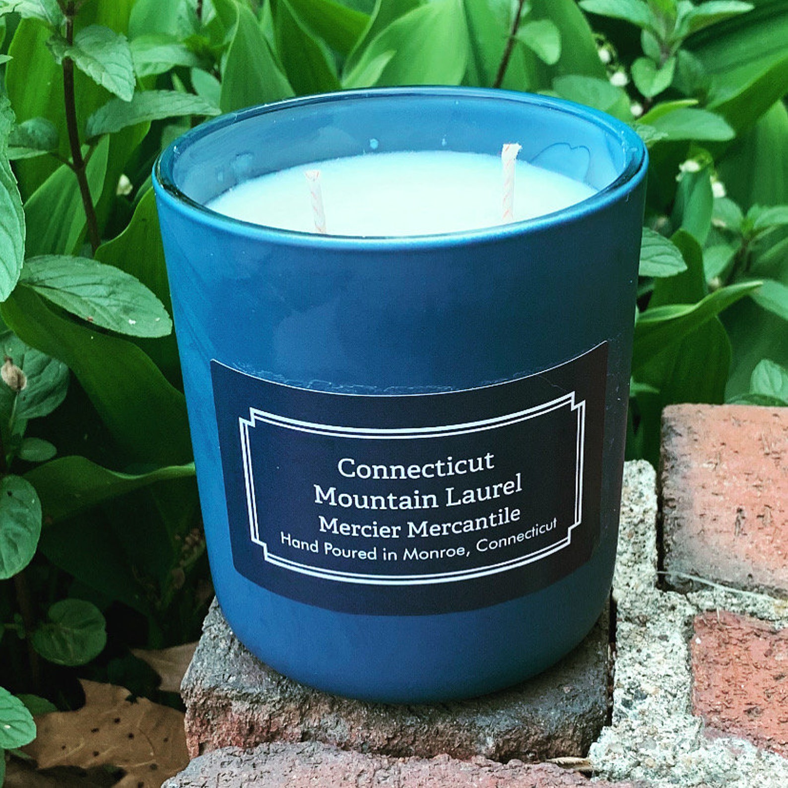 Connecticut Candle CT Candle Mountain Laurel Fragrance Etsy