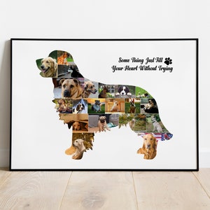 Dog paw Pet loss gifts Dog memorial gift Pet memorial gift Cat memorial photo collage gift Dog lover gift Dog photo collage Dog gift