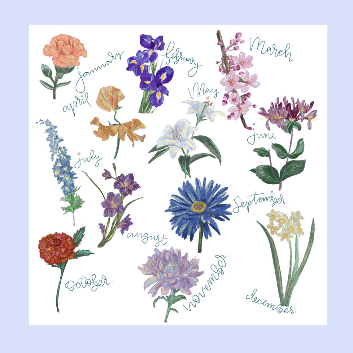 Birth flower art print poster | Etsy