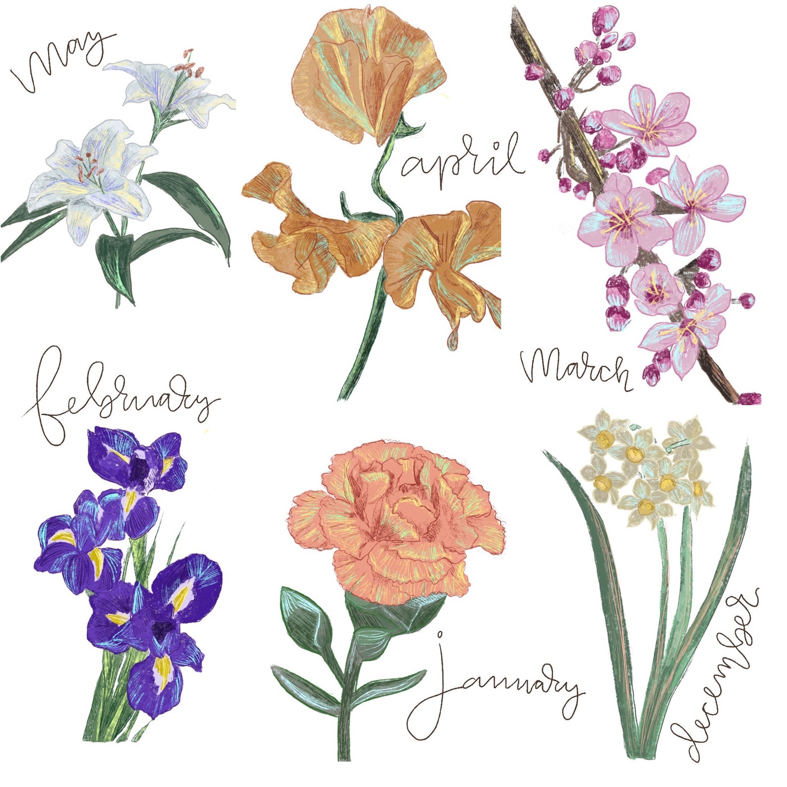 Birth flower art print poster | Etsy