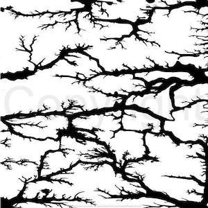May include: Black and white abstract pattern of branching lines resembling a tree or a network of veins.