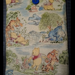 Winnie the Pooh Eyeore Tigger Padded Book Sleeve with Closure