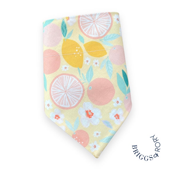 Lemons & Grapefruit Dog Bandana, Over the Collar Dog Bandana, Slip on Dog Bandana, Dog Bandana, Dog Gift