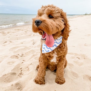 Beach Day Dog Bandana, Over the Collar Dog Bandana, Wave Dog Bandana, Summer Dog Bandana