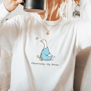 Chronic Illness Shirt Chronic Pain Silly Goose Shirt Gastroparesis Eds Pots Awareness Pots Syndrome Ehlers Danlos Syndrome Fibromyalgia