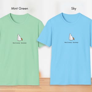May include: Two t-shirts with a graphic of a goose sitting in a chair. The t-shirt on the left is mint green and the t-shirt on the right is sky blue. Both t-shirts have the text "Reclusey Goosey" printed on them.