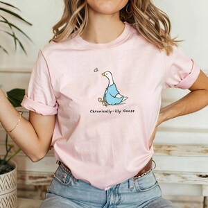 May include: A pink t-shirt with a cartoon goose wearing a blue robe and the text "Chronically-illy Goose".