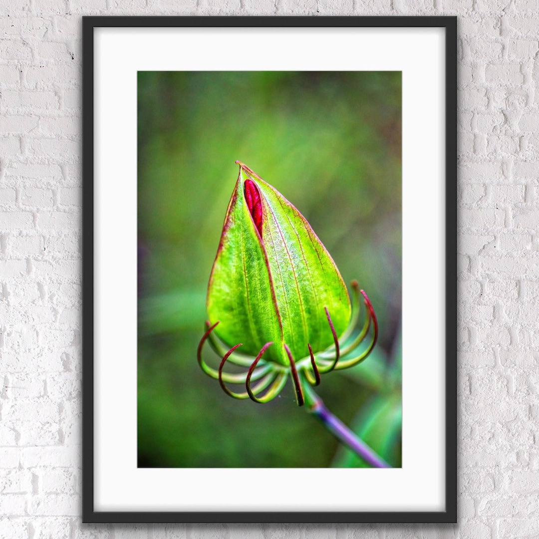 Printable Wall Art Photography Print Wall Art Home Decor Etsy