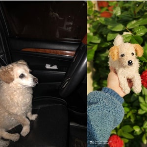 Custom Stuffed Dog, Custom Crochet Dog, Custom Dog Plush, Custom Stuffed Animal, Custom Pet Plush, Personalized Pet Gift, Dog lover gift image 5