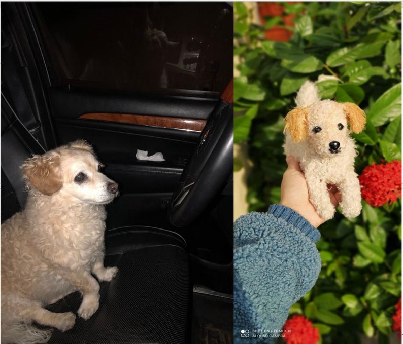 Custom Stuffed Dog, Custom Crochet Dog, Custom Dog Plush, Custom Stuffed Animal, Custom Pet Plush, Personalized Pet Gift, Dog lover gift image 5