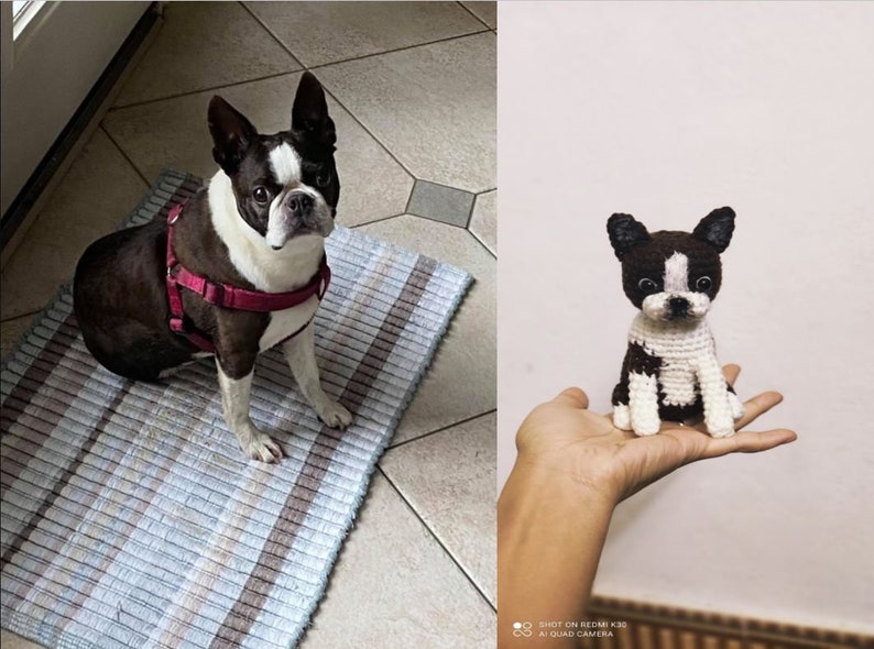 Op de afbeelding: Een zwart-witte Boston Terrier hond die op een gestreept kleed zit. Een gehaakte Boston Terrier hond wordt in een hand gehouden.