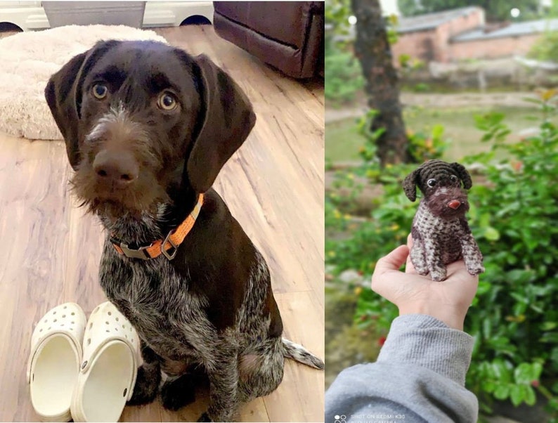 Op de afbeelding: Een bruine en witte Duitse Korthaar-puppy die op een houten vloer zit. Een gehaakte knuffelversie van de hond wordt in een hand gehouden.
