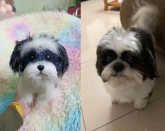Aangepaste gevulde hond, aangepaste gehaakte hond, aangepaste hond pluche, aangepaste knuffeldier, aangepaste huisdier pluche, gepersonaliseerde huisdier cadeau, hondenliefhebber cadeau
