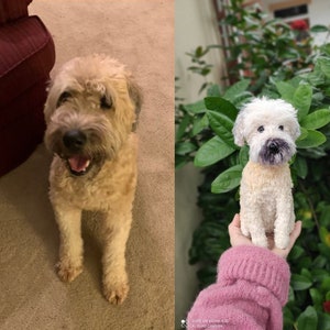 Op de afbeelding: Een zacht, pluche speelgoedhondje met een witte en bruine vacht. Het speelgoedhondje zit op de hand van een persoon.