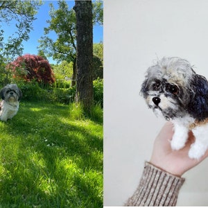 Custom Stuffed Dog, Custom Crochet Dog, Custom Dog Plush, Custom Stuffed Animal, Custom Pet Plush, Personalized Pet Gift, Dog lover gift image 2