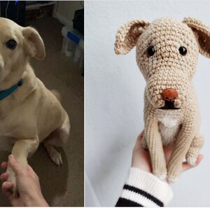 May include: A light brown dog sitting with its paw outstretched, next to a crocheted stuffed dog toy in a similar pose.