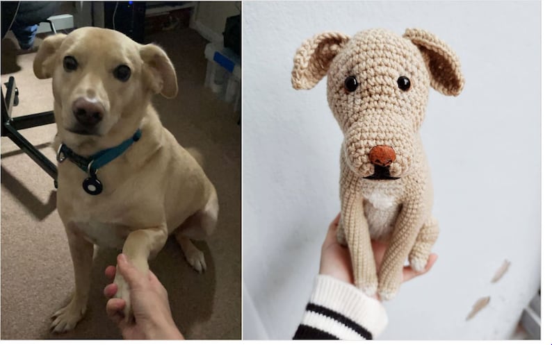 May include: A light brown dog sitting with its paw outstretched, next to a crocheted stuffed dog toy in a similar pose.